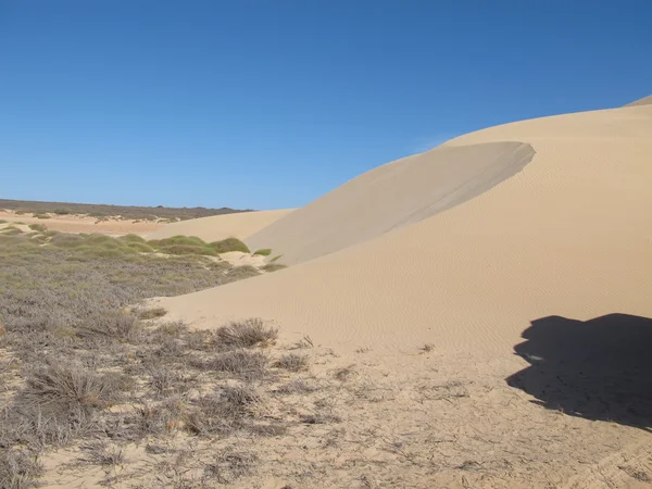 Gnaraloo Station, Australia Occidentale — Foto Stock