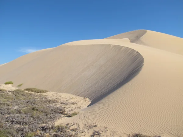 Gnaraloo Station, Australia Occidentale — Foto Stock