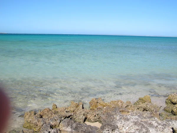 Steile punt westelijkste punt, Shark Bay, Western Australia — Stockfoto