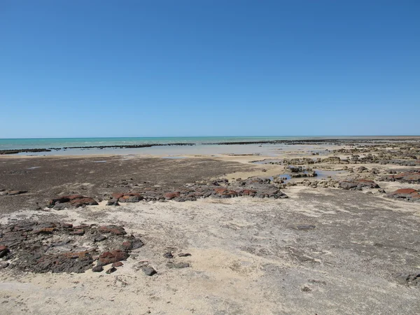 Punto ripido, punto più occidentale, Shark Bay, Australia occidentale — Foto Stock