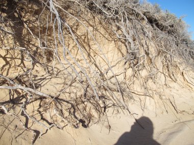 Dik noktası, en batıdaki nokta, Shark Körfezi, Batı Avustralya