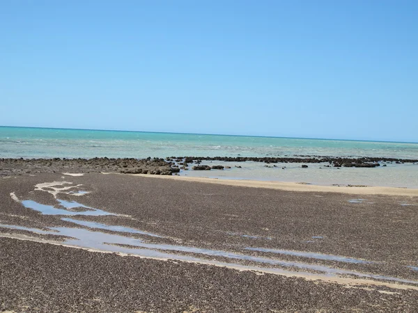 Punto ripido, punto più occidentale, Shark Bay, Australia occidentale — Foto Stock