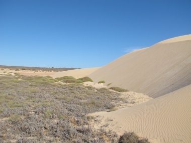 Gnaraloo istasyonu, Batı Avustralya