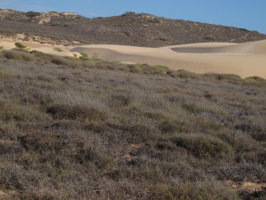 Gnaraloo istasyonu, Batı Avustralya