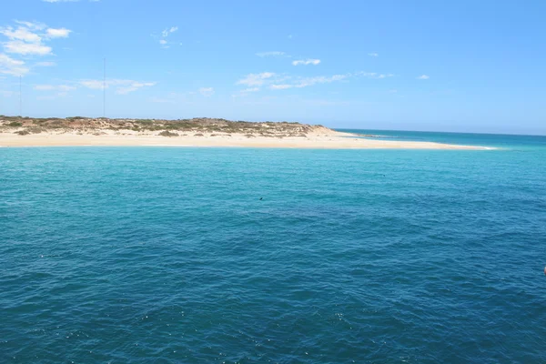 Морские пэры, эксмуты, западные Австралии — стоковое фото