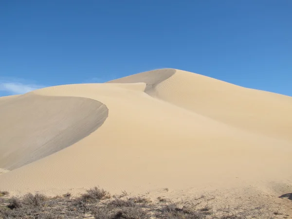 Gnaraloo istasyonu, Batı Avustralya — Stok fotoğraf