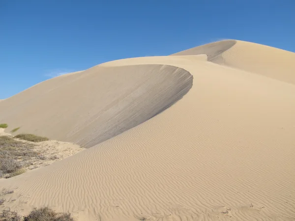 Gnaraloo Station, West-Australië — Stockfoto