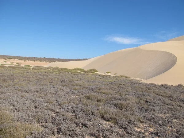 Gnaraloo istasyonu, Batı Avustralya