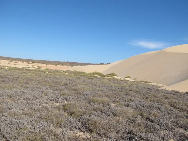 Gnaraloo Station, West-Australië — Stockfoto