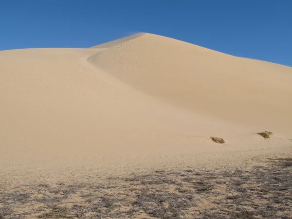 Estación Gnaraloo, Australia Occidental — Foto de Stock