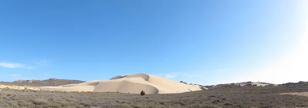 Gnaraloo Station, West-Australië — Stockfoto