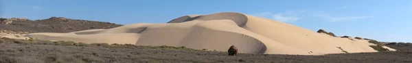 Gnaraloo istasyonu, Batı Avustralya — Stok fotoğraf