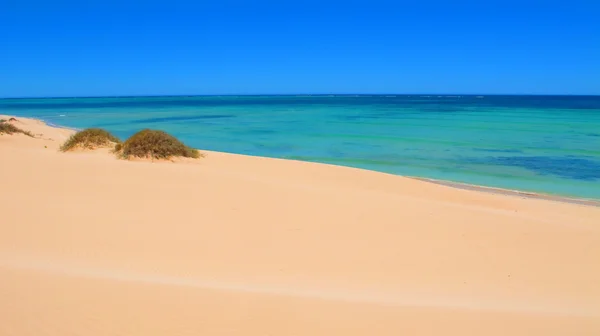 Ningaloo kusten, Cape Range National Park, Australien — Stockfoto