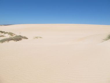 Ningaloo kenarı, Cape aralığı Milli Parkı, Batı Avustralya