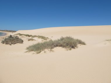 Ningaloo kenarı, Cape aralığı Milli Parkı, Batı Avustralya