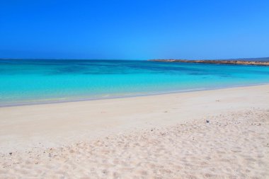 Turkuaz bay, Ningaloo kenarı, Cape aralığı Milli Parkı, Western 