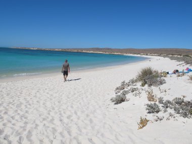 Turkuaz bay, Ningaloo kenarı, Cape aralığı Milli Parkı, Western 