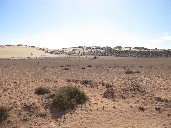 Ningaloo coast, cape range nationalpark, westaustralien — Stockfoto