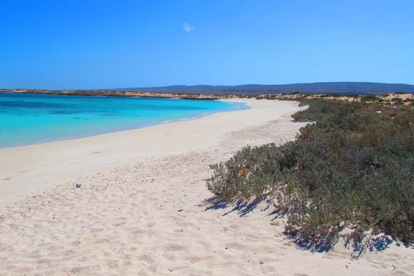 Turkos bay, Ningaloo kusten, Cape Range National Park, Western — Stockfoto