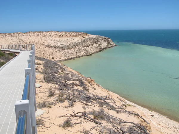 Eagle bluff, shark bay, Australien — Stockfoto