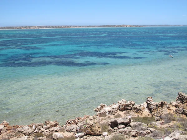 Орлиный блеф, залив акул, западная Австралия — стоковое фото