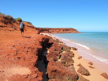 Francois Peron Milli Parkı, Shark Körfezi, Batı Avustralya
