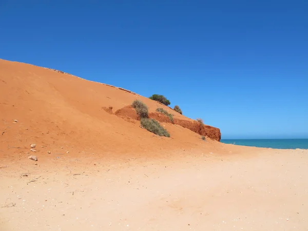 Parque Nacional Francois Perón, Shark Bay, Australia Occidental — Foto de Stock