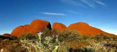 Olgas, Kata Tjuta, Kuzey Territory, Avustralya