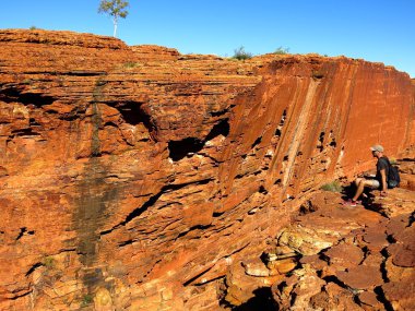 Kings Canyon, Nothern Territory, Australia clipart