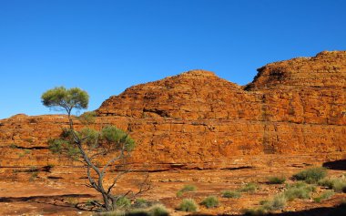 Kings Kanyon, Kuzey Territory, Avustralya