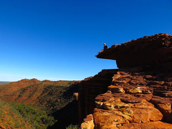 Kings Canyon, Nothern területén, Ausztrália — Stock Fotó