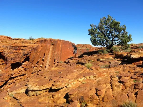 Kings Canyon, Noordelijke Territorium, Australië — Stockfoto