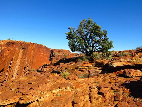 Kings Canyon, Noordelijke Territorium, Australië — Stockfoto