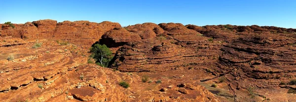 Kings Canyon, Nothern Territory, Australia — Stock Photo, Image