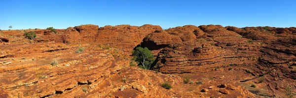 Kings Canyon, Nothern Territory, Australia — Stock Photo, Image