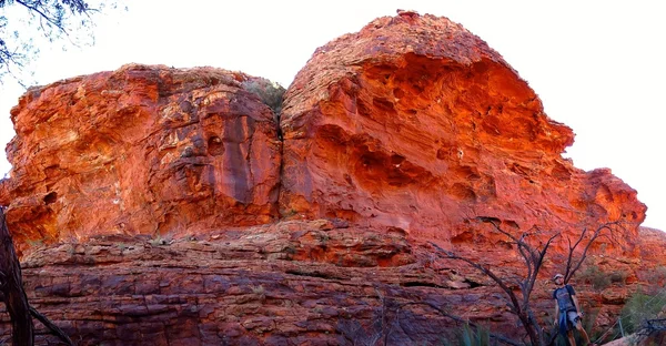 Kings Canyon, Nothern Territory, Australia — Stock Photo, Image