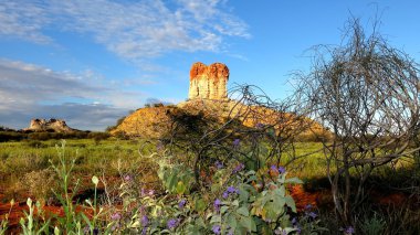 Chambers ayağı, Northern Territory, Avustralya