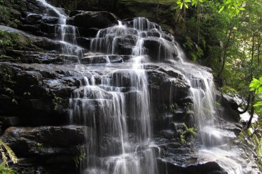 Blue Mountain Ulusal Parkı