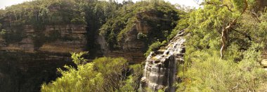 Blue Mountain Ulusal Parkı
