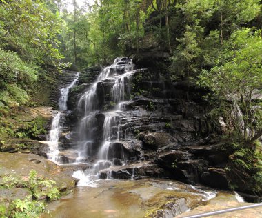 Blue Mountain Ulusal Parkı