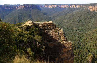 Blue Mountain Ulusal Parkı