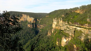 Blue Mountain Ulusal Parkı