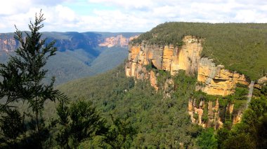 Blue Mountain Ulusal Parkı