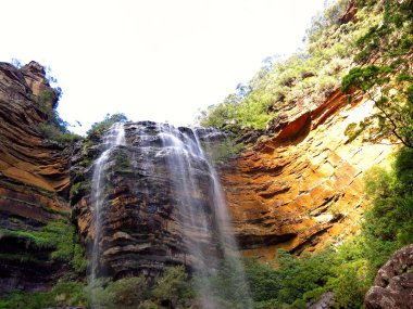 Blue Mountain Ulusal Parkı