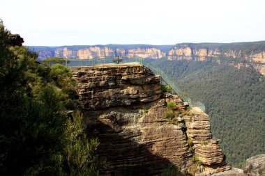 Blue Mountain Ulusal Parkı