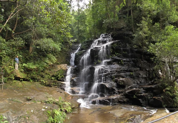 Parque nacional das montanhas azuis — Fotografia de Stock