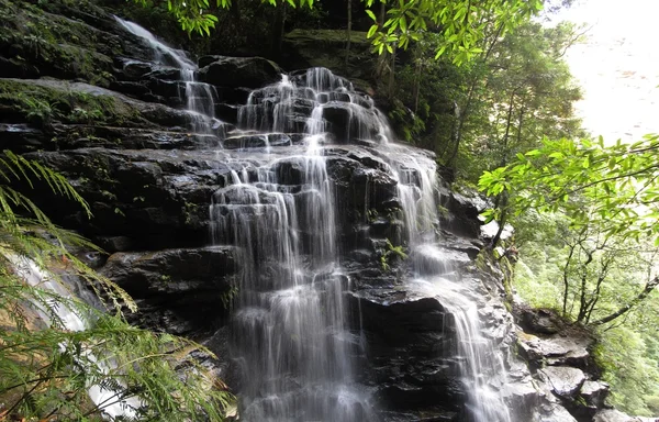 Blue Mountains National Park — Stock Photo, Image