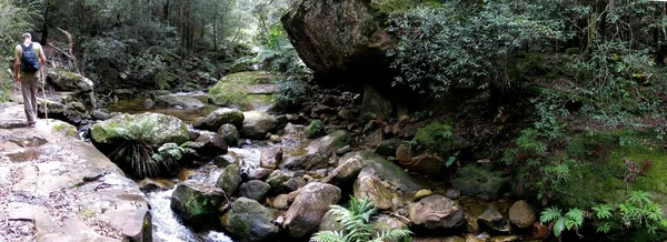 Parque nacional das montanhas azuis — Fotografia de Stock