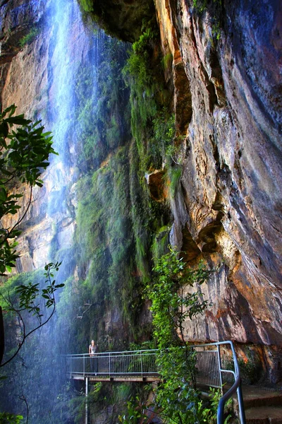 Blue Mountains National Park — Stock Photo, Image