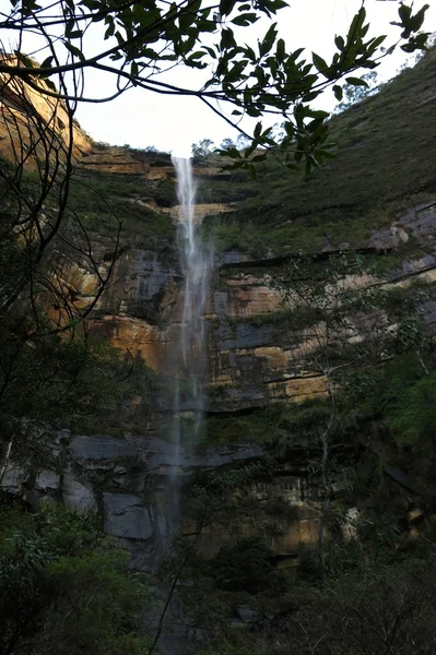 Blue Mountains National Park — Stock Photo, Image